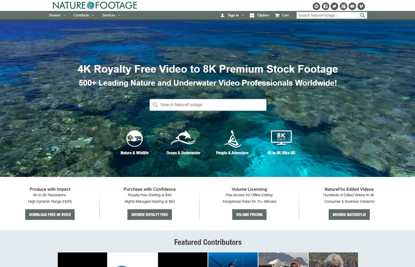 разработка сайта